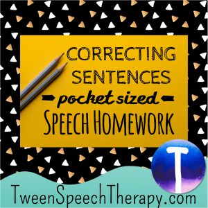 Correcting Sentences Pocket Sized Speech Homework