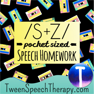 S and Z Pocket Sized Speech Homework